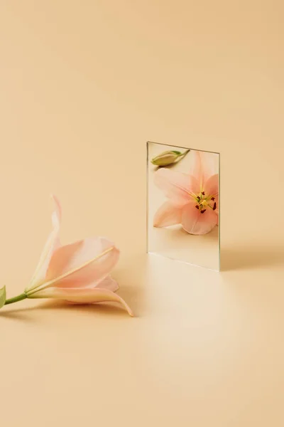 Pink beautiful lily flower reflecting in mirror on beige table — Stock Photo