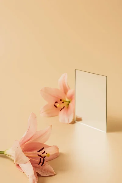 Two lily flowers and mirror on beige table — Stock Photo