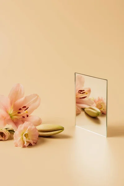 Fleurs de lys rose réfléchissant dans le miroir sur table beige — Photo de stock