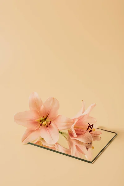 Lily flowers reflecting in mirror on beige table — Stock Photo