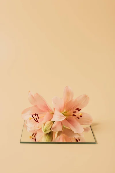 Lily flowers on mirror on beige table — Stock Photo