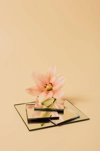 Flor de lírio que reflete em espelhos na mesa bege — Fotografia de Stock