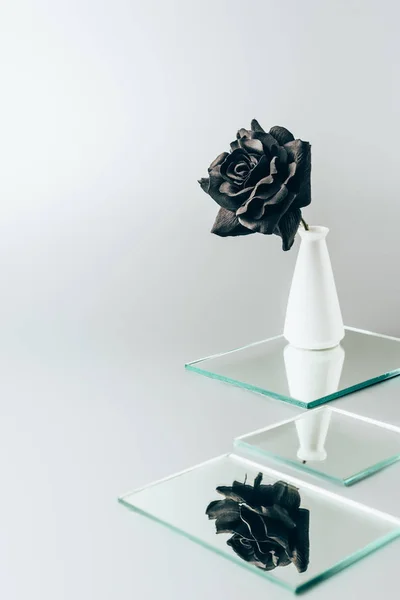 Чорна троянда у вазі відображає в дзеркалах ізольовані на білому — стокове фото