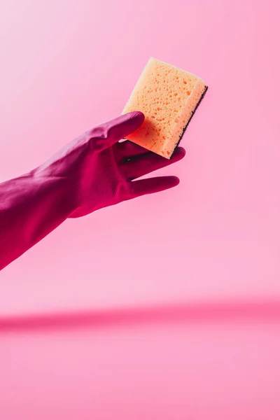 Vista parcial del limpiador femenino en guante de goma que sostiene la esponja de lavado, fondo rosa - foto de stock