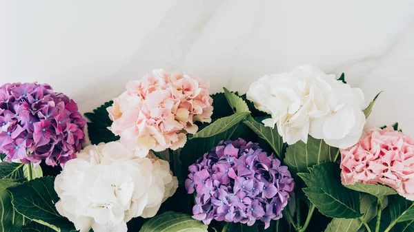 Top view of background with colorful hydrangea flowers on marble surface — Stock Photo