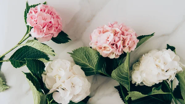 Vista superior de flores de hortensias rosadas y blancas en la superficie de mármol - foto de stock