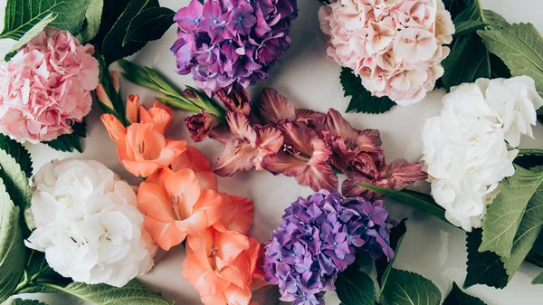 Top view of colorful hydrangea and gladioluses flowers on marble surface — Stock Photo