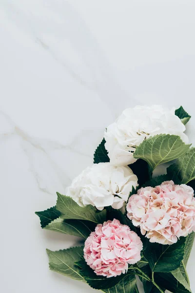 Vista dall'alto di fiori di hortensia bianchi e rosa su un tavolo di marmo con spazio copia — Foto stock