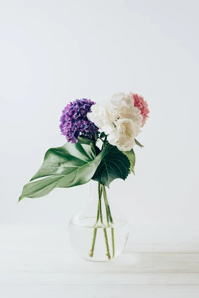 Bouquet of blooming hortensia flowers and monstera leaf in vase, on white — Stock Photo
