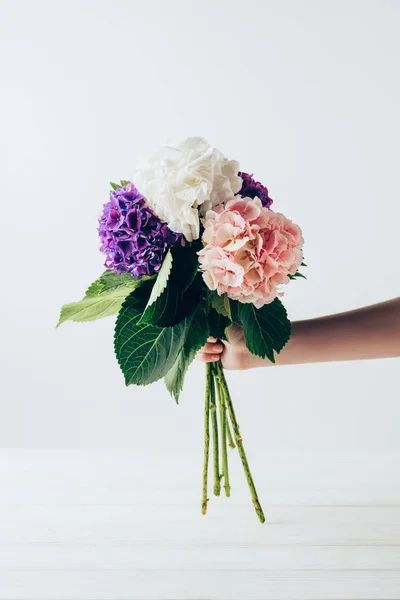 Vista recortada de la mujer sosteniendo ramo de flores de hortensias de colores florecientes, en blanco - foto de stock