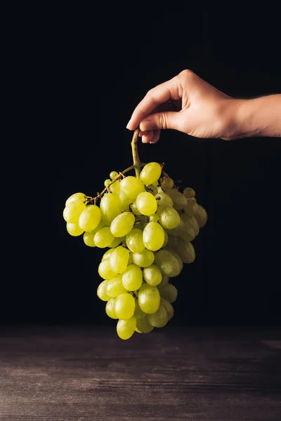 Tiro recortado de la persona sosteniendo racimo de uvas blancas maduras frescas en negro - foto de stock