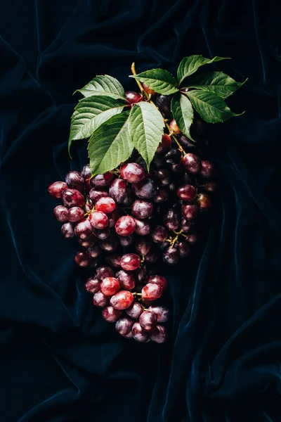 Vista superior de uvas rojas jugosas maduras frescas con hojas verdes sobre tela oscura - foto de stock