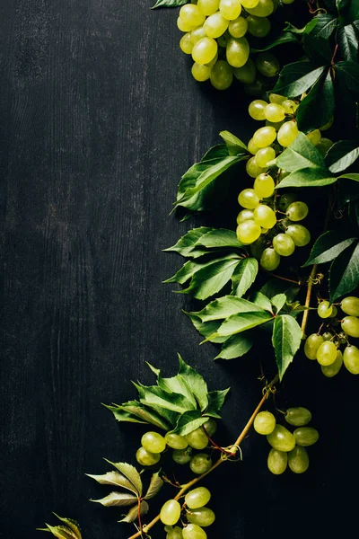 Vue de dessus des raisins blancs mûrs frais et des feuilles vertes sur fond de bois noir — Photo de stock