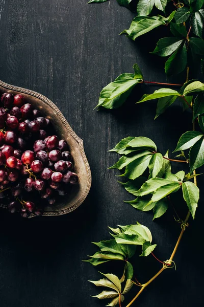 Vue de dessus des raisins frais mûrs sur une assiette vintage et des feuilles vertes sur une surface en bois noir — Photo de stock