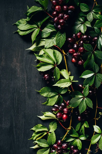 Top view of ripe juicy red grapes and green leaves on black wooden background — Stock Photo