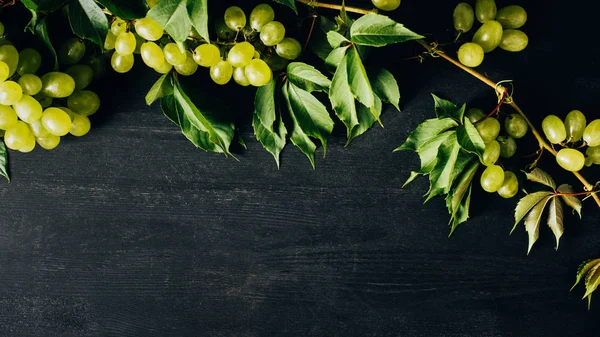 Top view of fresh ripe grapes and green leaves on black wooden background — Stock Photo