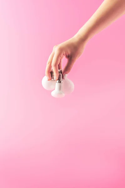 Cropped shot of person holding light bulbs isolated on pink — Stock Photo