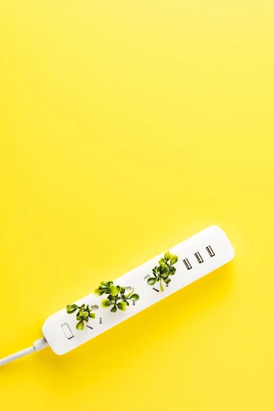 Top view of socket outlet with twigs on yellow background, green energy concept — Stock Photo