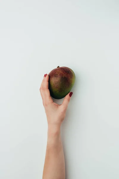 Cropped view of woman holding fresh mango, on grey — Stock Photo