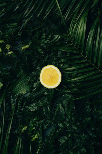 Top view of juicy lemon slice on green palm leaves — Stock Photo