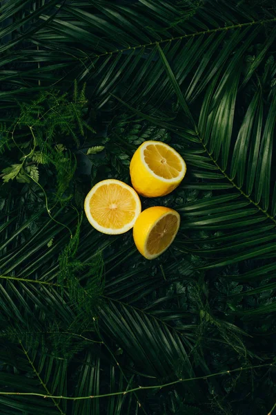 Vue du dessus des citrons acides jaunes sur les feuilles de palmier — Photo de stock