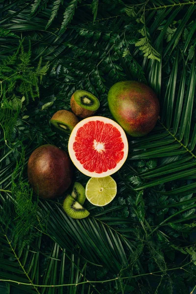 Vista superior de mangas, kiwi, lima e toranja em folhas de palmeira — Fotografia de Stock