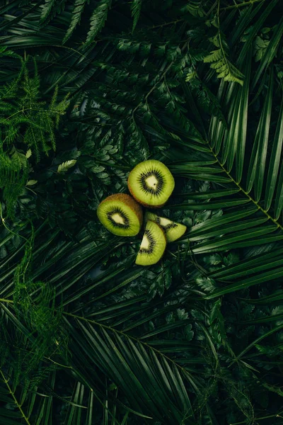 Blick von oben auf frische Kiwi-Scheiben auf grünen Palmblättern — Stockfoto