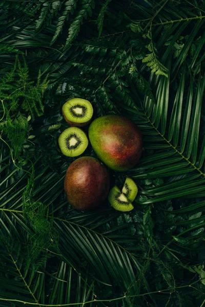 Vue de dessus des mangues et des tranches de kiwi sur les feuilles de palmier — Photo de stock