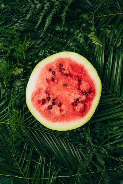 Vue du dessus de la moitié de la pastèque rouge sucrée sur les feuilles de palmier vert foncé — Photo de stock