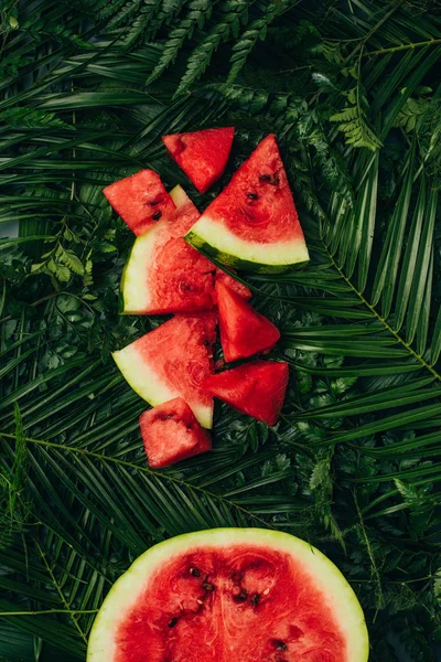 Blick von oben auf süße rote Wassermelone auf Palmblättern — Stockfoto