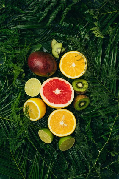 Top view of juicy fruits on green palm leaves — Stock Photo