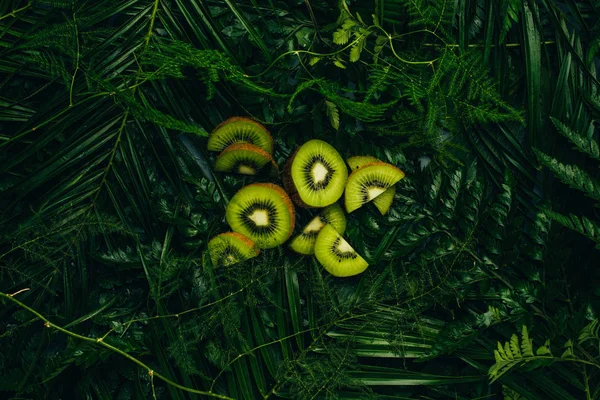 Top view of juicy kiwi slices on palm leaves — Stock Photo