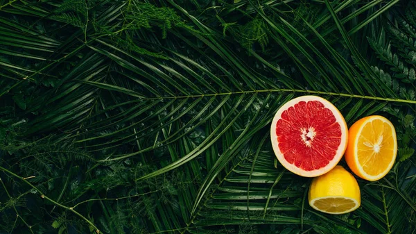 Vista superior de toranja, limão e laranja metades em folhas de palma com espaço de cópia — Fotografia de Stock