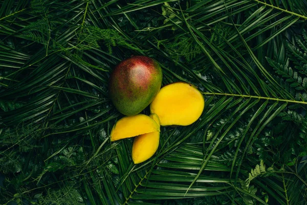 Vista superior de mangos frescos sobre hojas de palma verde - foto de stock