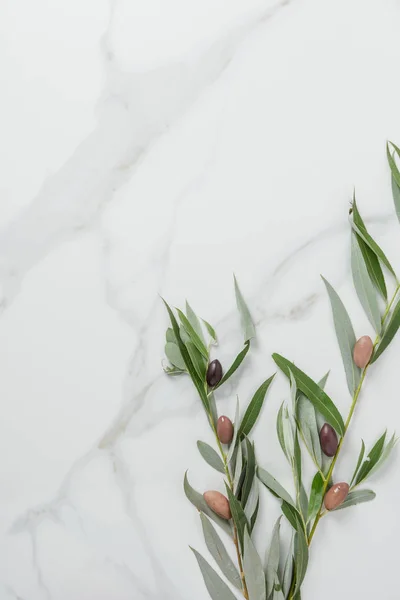 Ansicht von Olivenzweigen und Oliven auf Marmortisch — Stockfoto