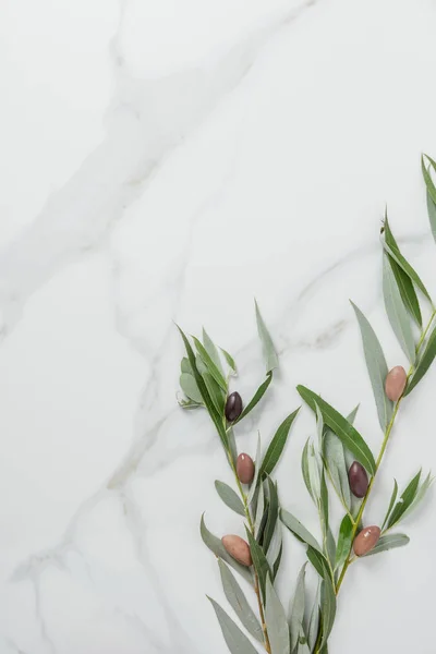 Top view of olive twigs and olives on marble table — Stock Photo