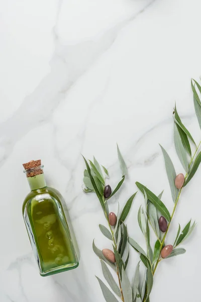 Вид сверху на бутылку домашнего оливкового масла и веточки с оливками на мраморном столе — стоковое фото