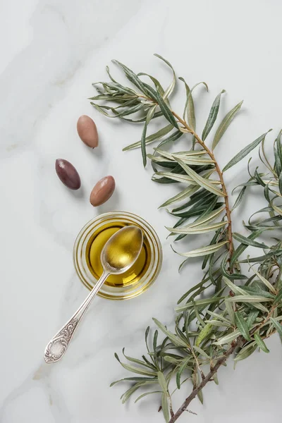 Vista superior de aceite de oliva y cuchara en vidrio, ramitas y aceitunas sobre mesa de mármol - foto de stock