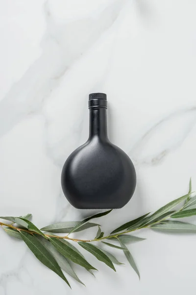 Top view of black bottle of olive oil and twig on marble table — Stock Photo