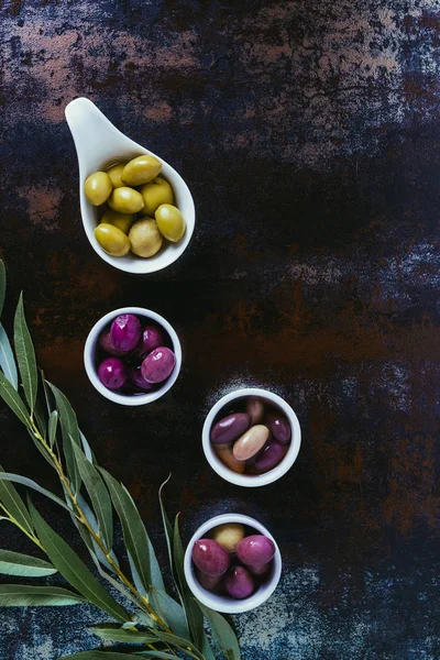 Vista dall'alto degli ingredienti per olio d'oliva e ramoscelli su superficie squallida — Foto stock