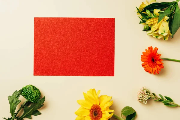 Top view of empty red banner and arranged flowers on beige backdrop — Stock Photo