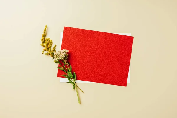 Flat lay with arrangement of red and white blank cards and wildflowers on beige backdrop — Stock Photo