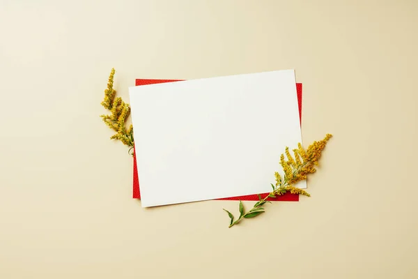 Flat lay with arrangement of red and white blank cards and wildflowers on beige backdrop — Stock Photo