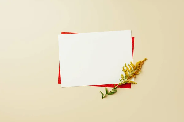 Flat lay with arrangement of red and white blank cards and beautiful wildflower on beige backdrop — Stock Photo