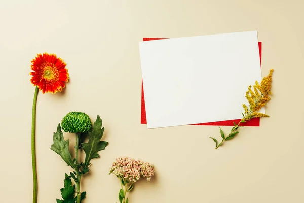 Flat lay with arrangement of red and white blank cards and beautiful flowers on beige backdrop — Stock Photo