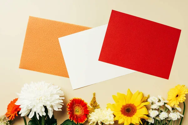 Flat lay com flores silvestres e arranjo de cartões coloridos em branco no fundo bege — Fotografia de Stock