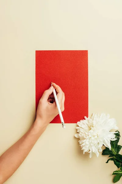 Tiro recortado de mulher com lápis, cartão em branco vermelho e flor crisântemo no fundo bege — Fotografia de Stock