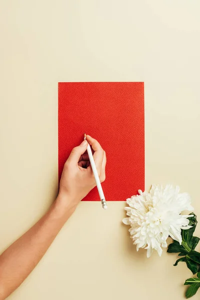 Plan recadré de femme avec crayon, carton blanc rouge et fleur de chrysanthème sur fond beige — Photo de stock