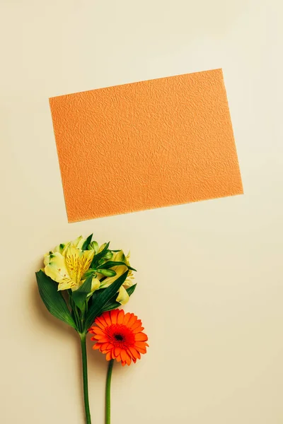 Vista superior de banner laranja em branco, flores de lírio e gerbera dispostos em pano de fundo bege — Fotografia de Stock