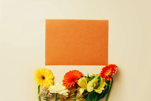 Flat lay with beautiful flowers and empty orange card arrangement on beige backdrop — Stock Photo